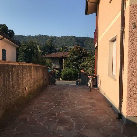 Villa Ester Camaiore Exterior photo